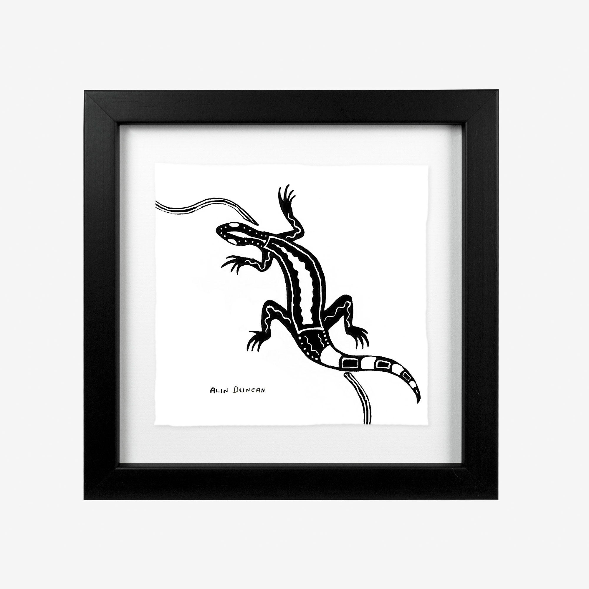 20425-euraba-8x8-goanna