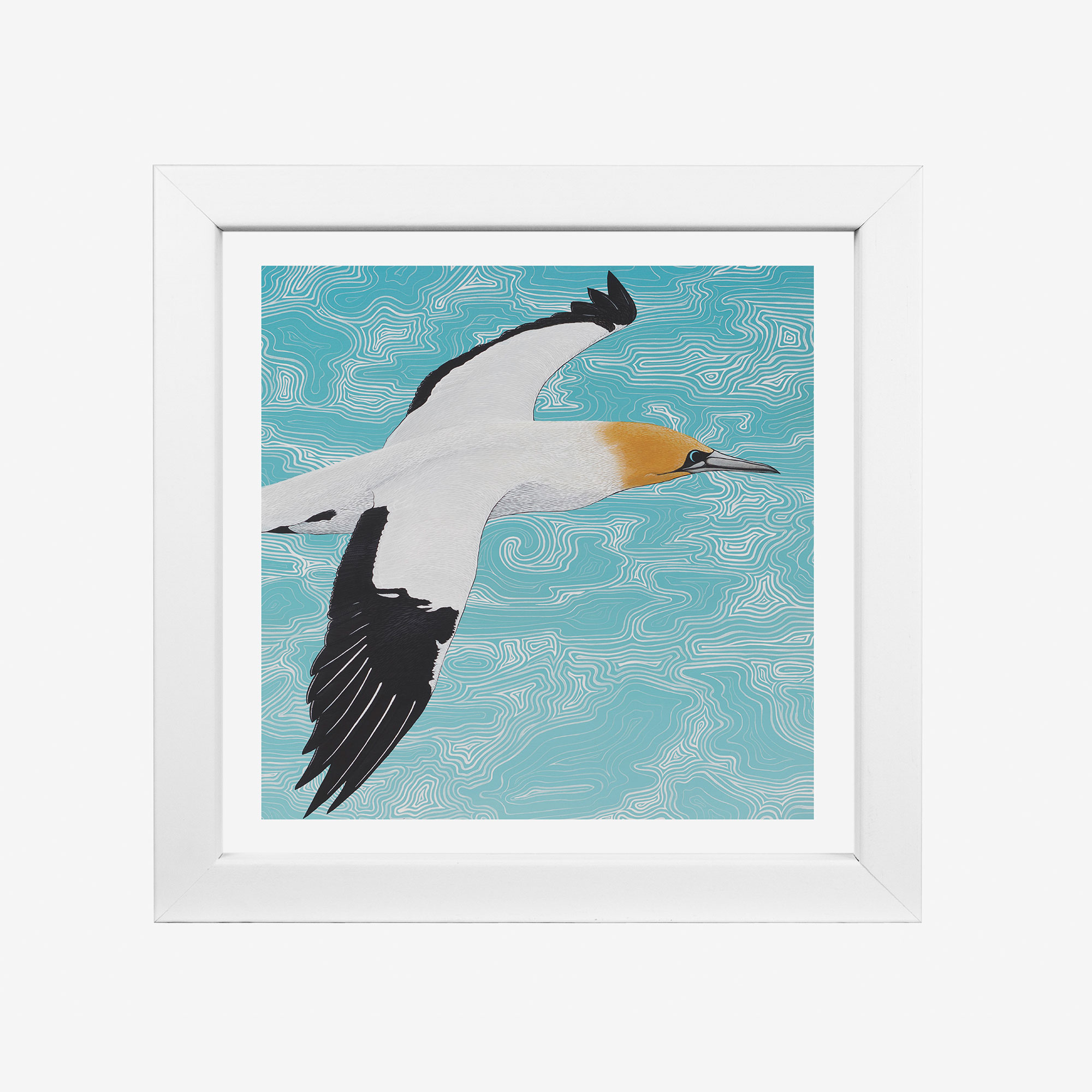 20854-elliot-8x8-ganet