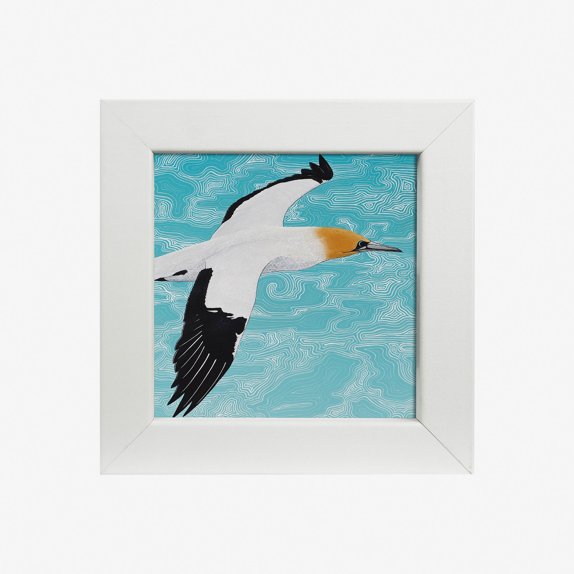 20891-elliot-4x4-ganet