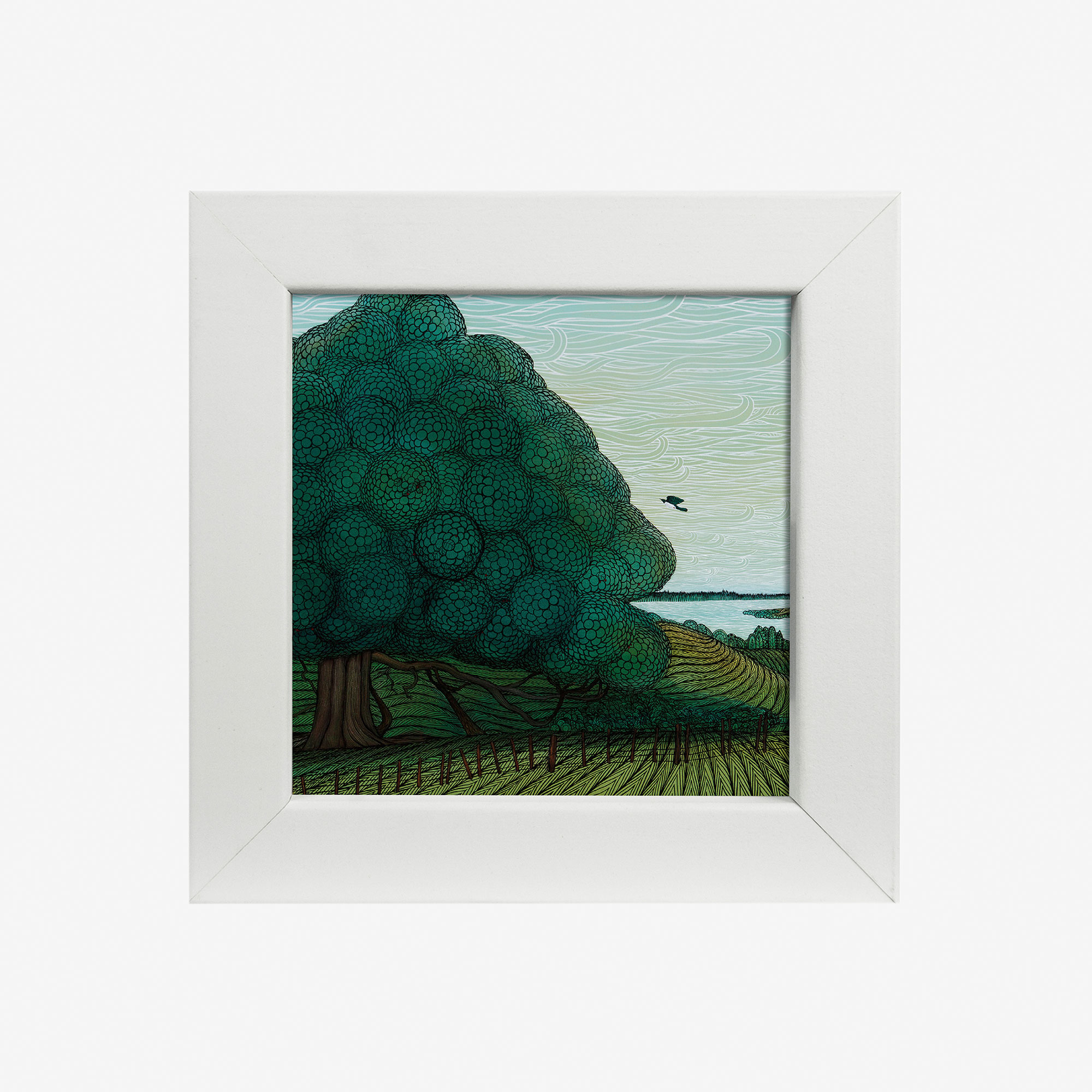 20896-elliot-4x4-puriri-tree