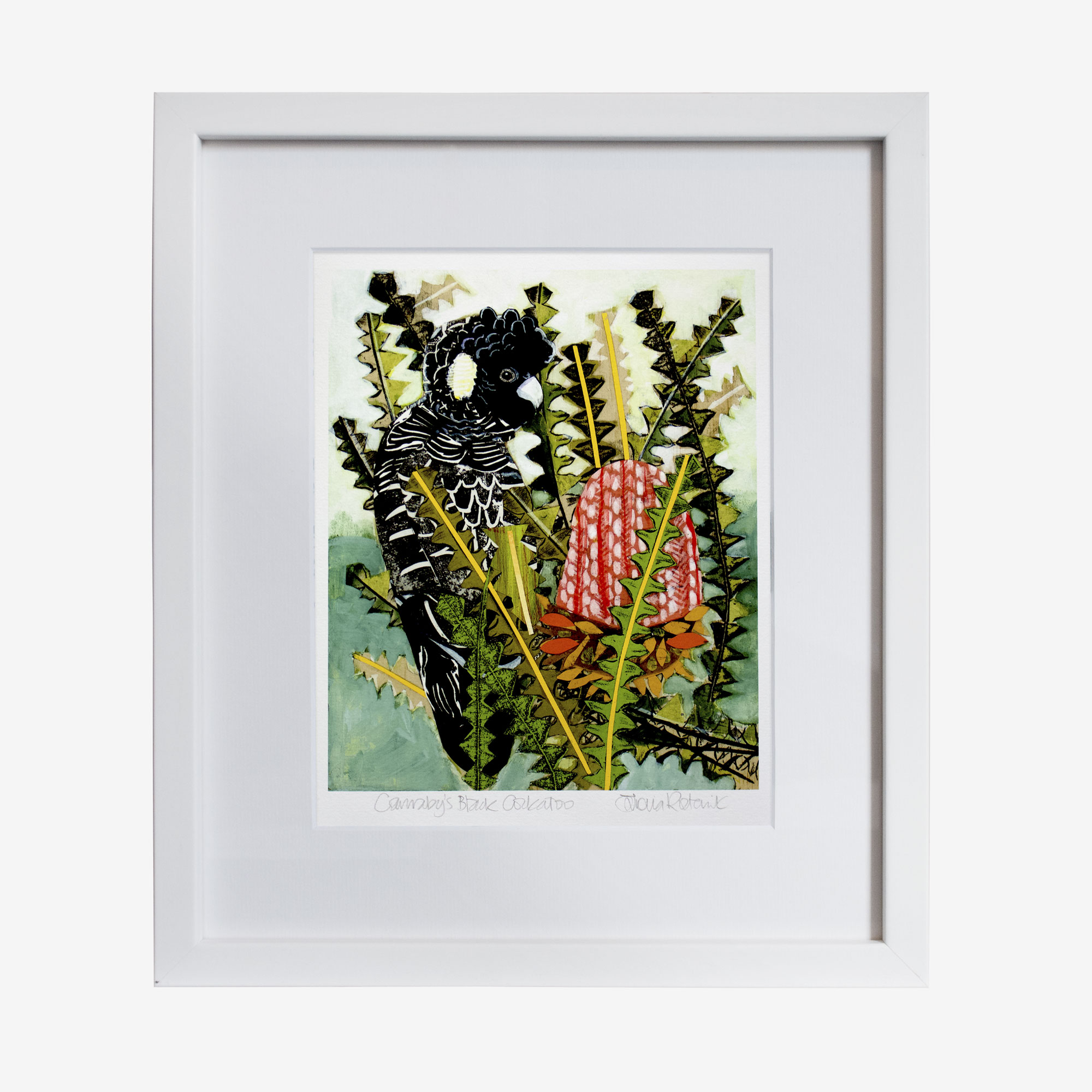 21437-fiona-10x8withmat-Carnaby’s-Black-Cockatoo