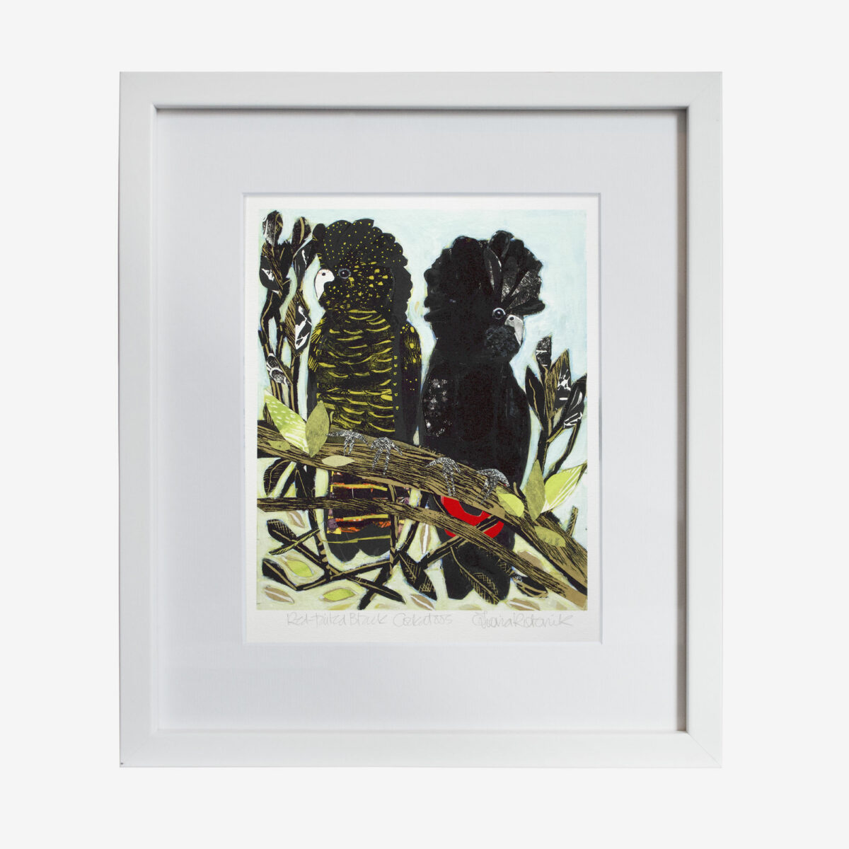 Fiona Roderick Artist Fiona Roderick Framed Print, Red-Tailed Cockatoo - Corban & Blair