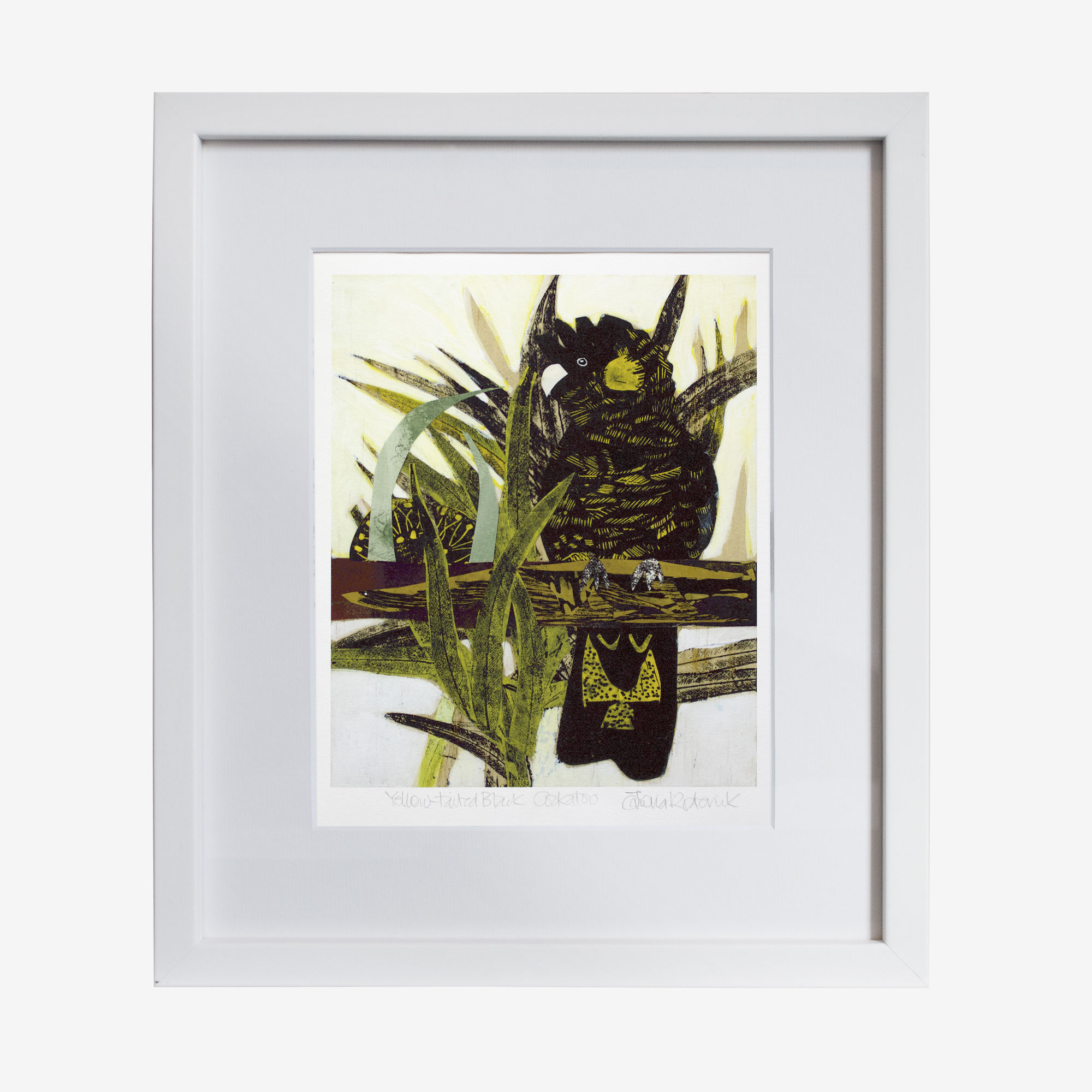 21440-fiona-10x8withmat-Yellow-Tailed-Cockatoo