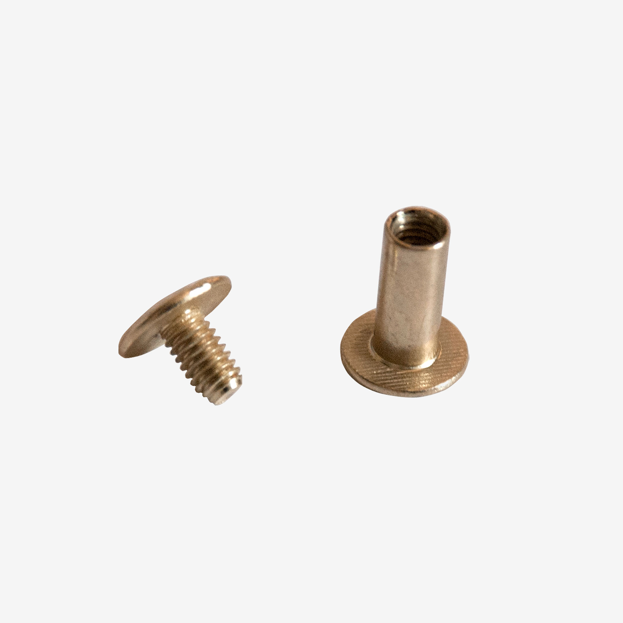 Interscrews 10mm Corban Blair interscrews-10mm-corban-blair