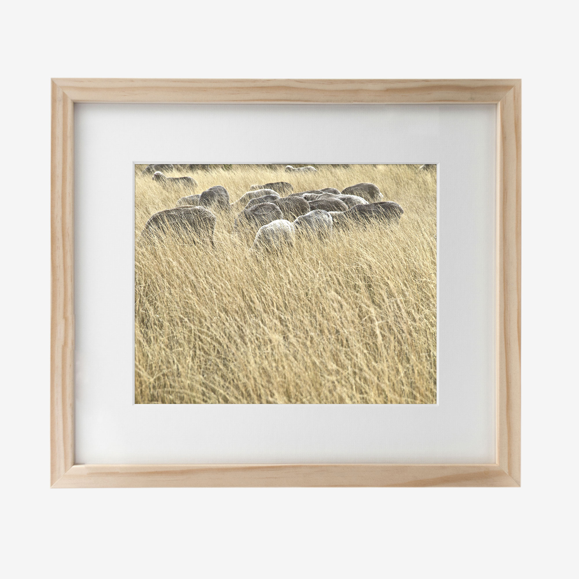 22039-howard-10x8withmat-Grazing