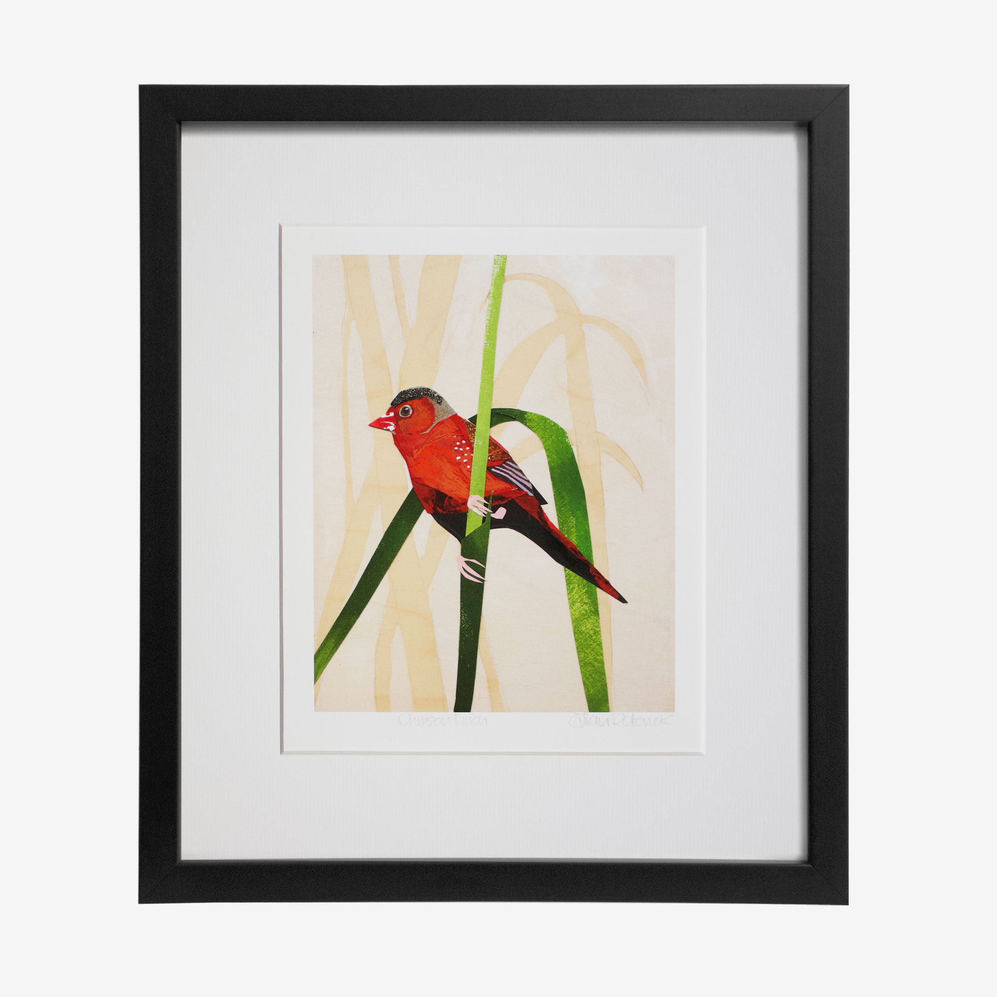 Fiona Roderick Framed Print, Crimson Finch