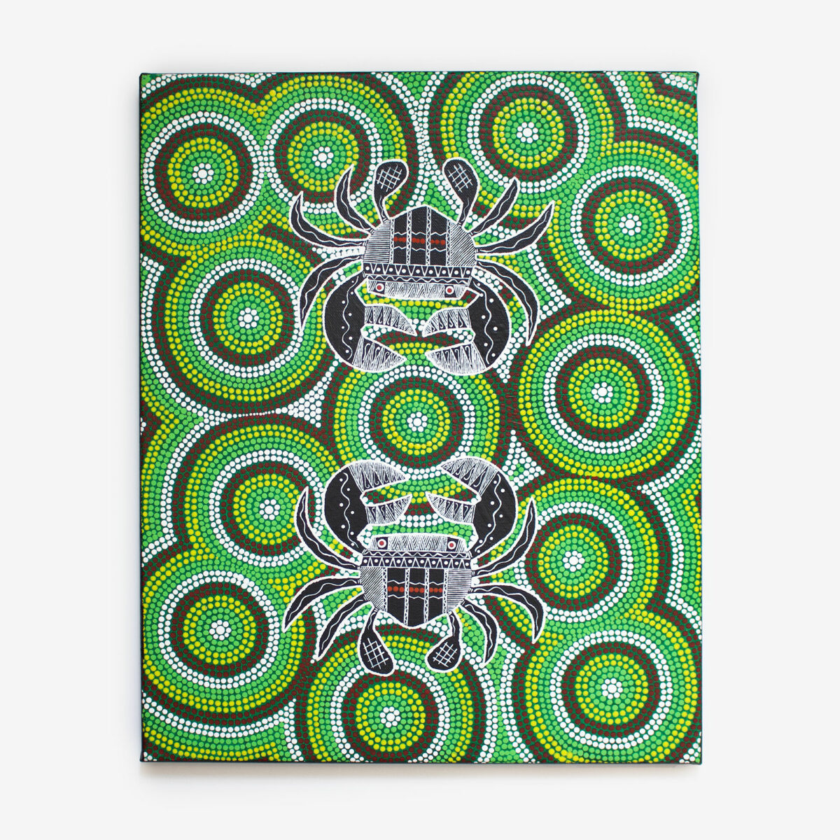 Thomas-crabs-in-river
