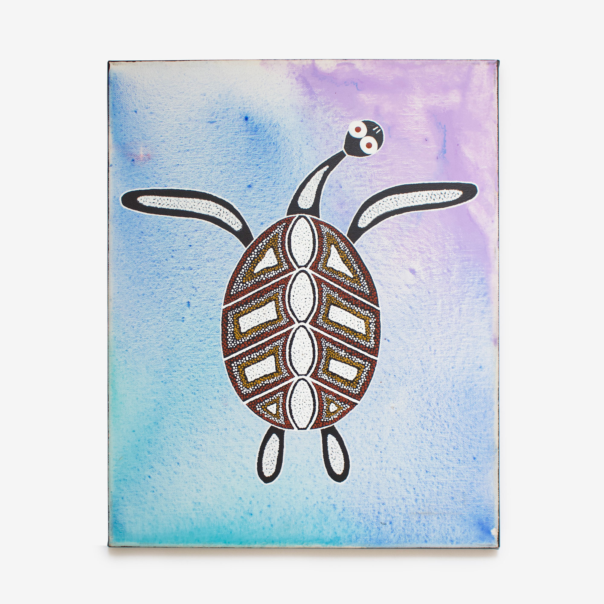 Thomas-waraba-the-turtle