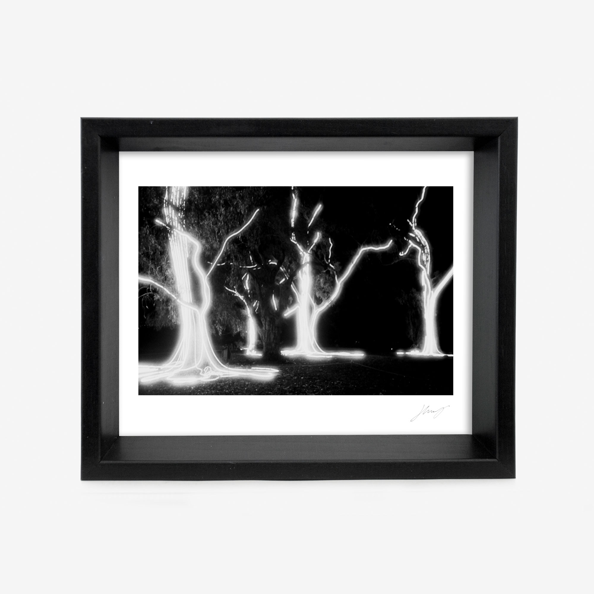 Harry Blair-Rath Framed Photograph, Light Amongst The Leaves