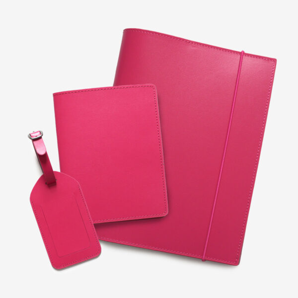 10537-journal-passport-wallet-lugtag-set-pink-1